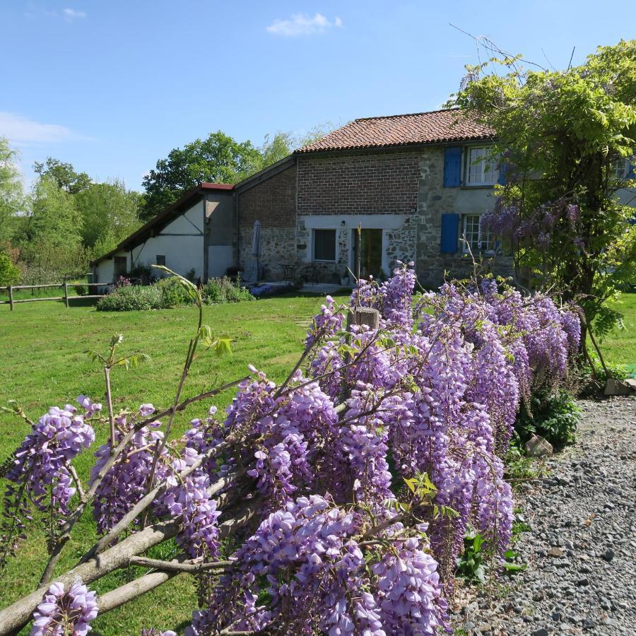 Serenite Verte A La Tuilerie Accommodation La Bazeuge Exterior foto